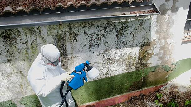 Top rated local Mold Remediation specialists in Bloomingdale, NJ